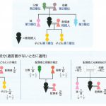 連載2　エンディングノートの書き方　弊社オンラインショップ連動企画